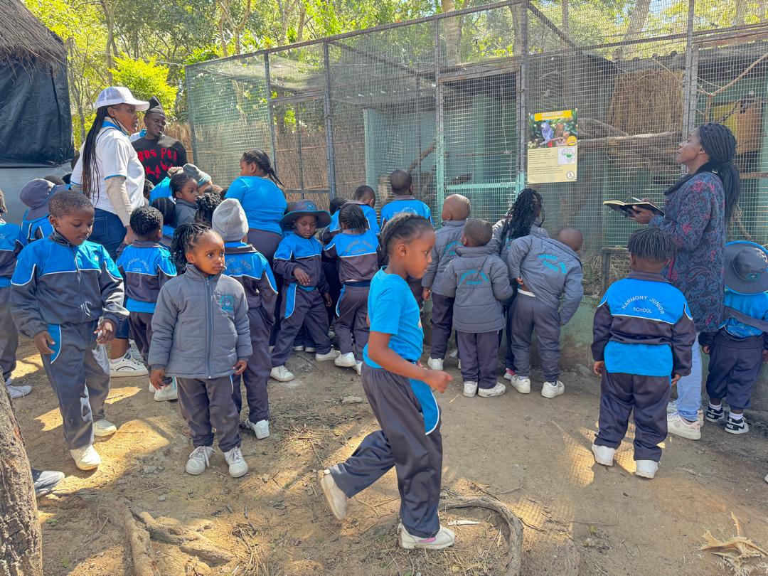 Harmony Junior School